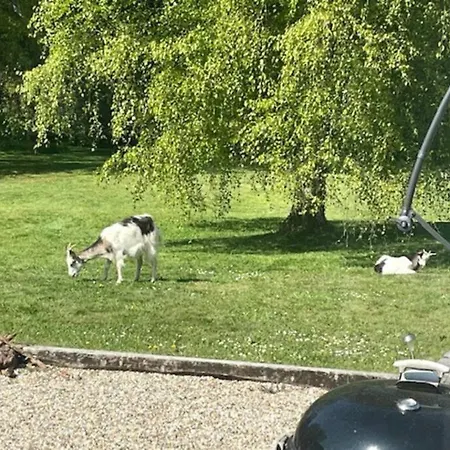 بيت للعطل Les De Claire Saint-Gâtien-des-Bois