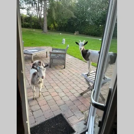 بيت للعطل Les De Claire *