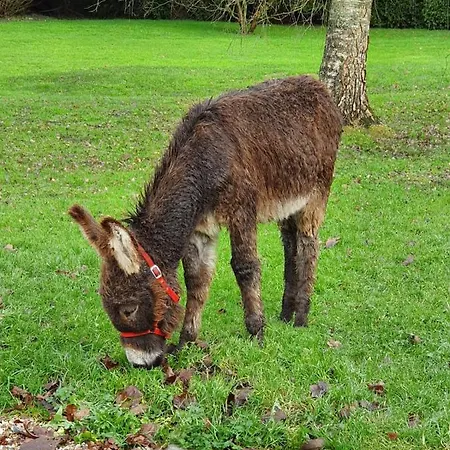 Les De Claire Saint-Gâtien-des-Bois