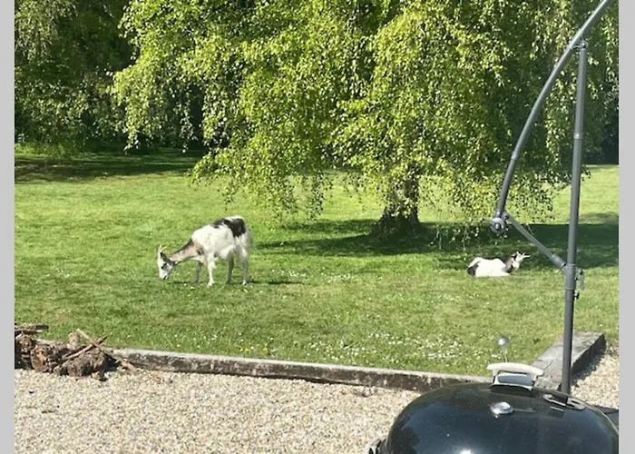 Semesterbostad Les De Claire Saint-Gâtien-des-Bois