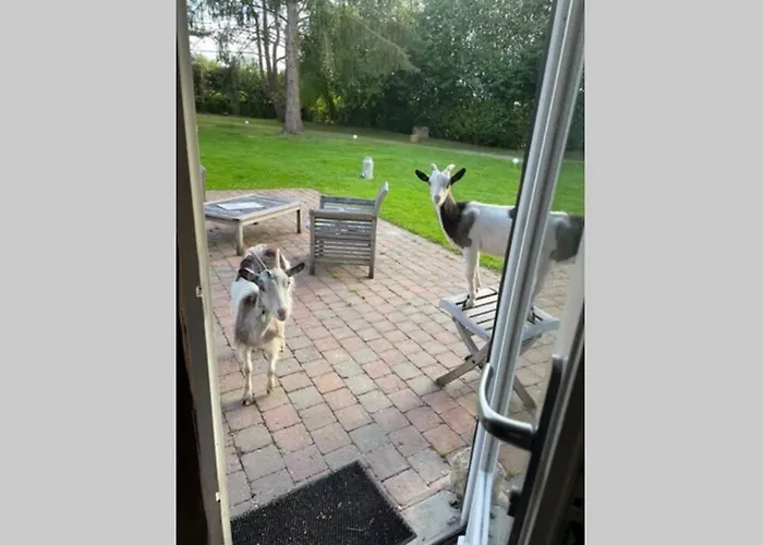 Semesterbostad Les De Claire *