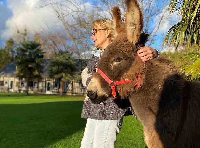 Semesterbostad Les De Claire Saint-Gâtien-des-Bois