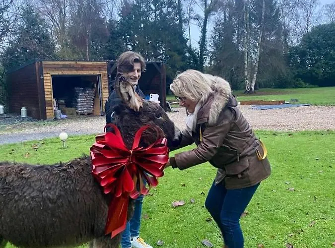 Casa vacanze Les De Claire *