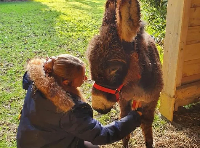 Les De Claire Semesterbostad