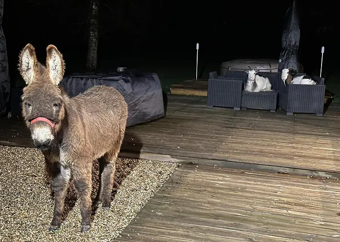 Les De Claire Saint-Gatien-des-Bois